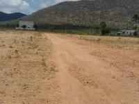  20 Acre Agricultural/Farm Land for Sale in Alagar Kovil, Madurai