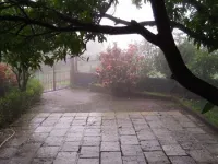 2 BHK 7500 Sq.ft. Farm House for Sale in Kasara Budruk, Thane