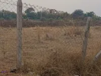  4 Acre Agricultural/Farm Land for Sale in Kohir, Sangareddy