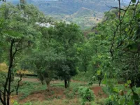  50 Biswa Residential Plot for Sale in Morni Hills, Panchkula