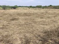  200 Sq. Yards Residential Plot for Sale in Kadthal, Rangareddy