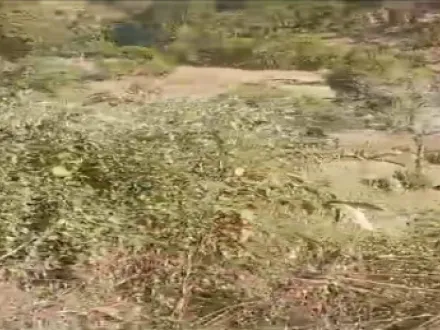 5000 Sq. Meter Commercial Land for Sale in Okhalkanda, Nainital
