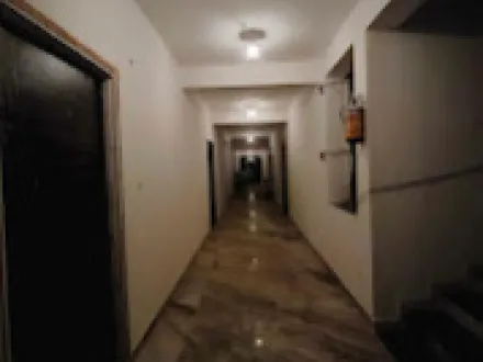 3 BHK 1000 Sq.ft. Apartment for Rent in Saddu, Raipur