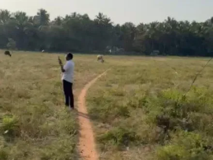  4 Acre Agricultural/Farm Land for Sale in Pollachi, Coimbatore