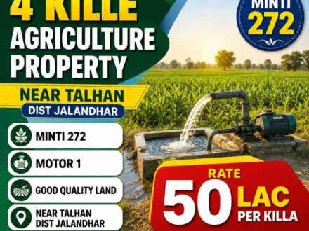  4 Acre Agricultural/Farm Land for Sale in Jandu Singha, Jalandhar