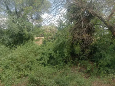  7 Acre Industrial Land for Sale in Padalam, Kanchipuram